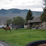 OTRA2013_1398 (July 15, 2013)